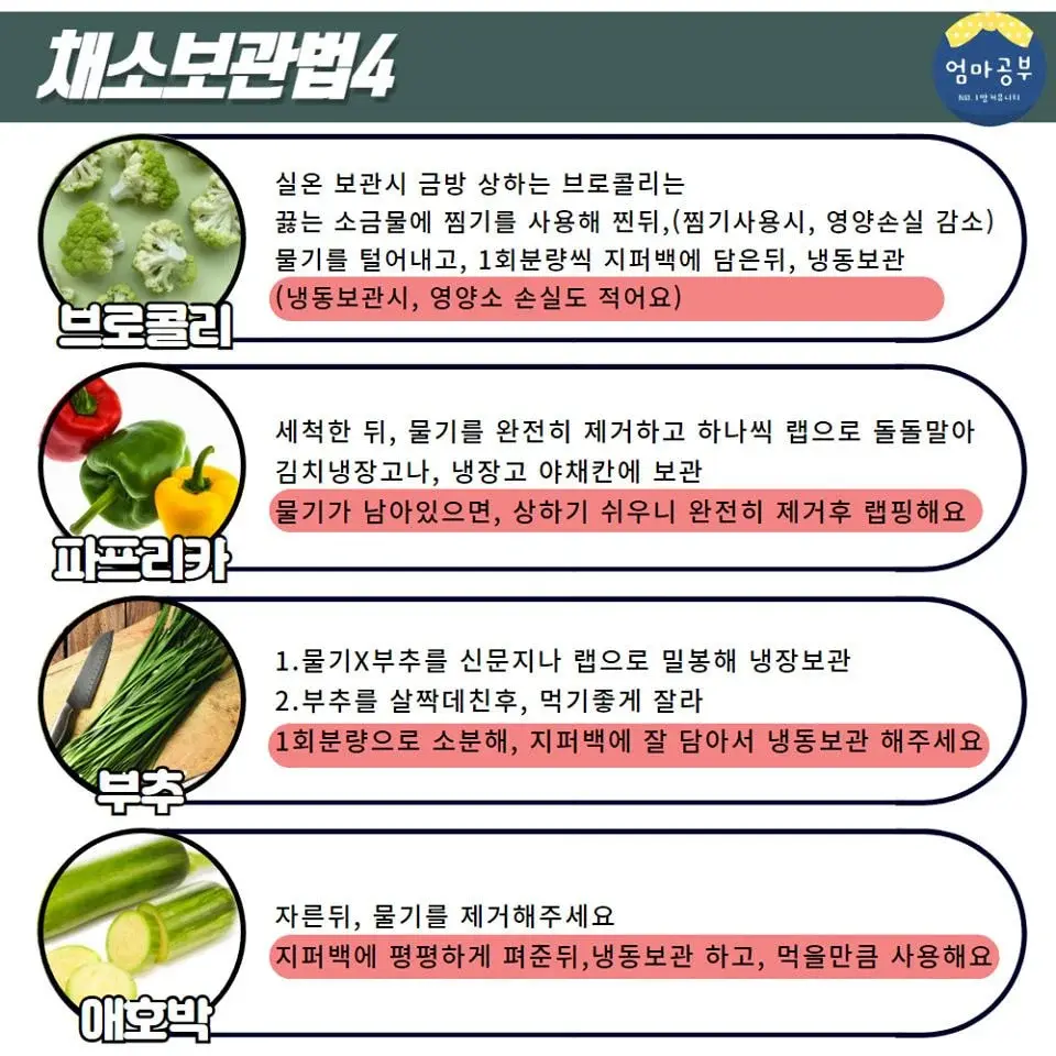 금방 상하는 채소 20종 보관법.jpg | mbong.kr 엠봉