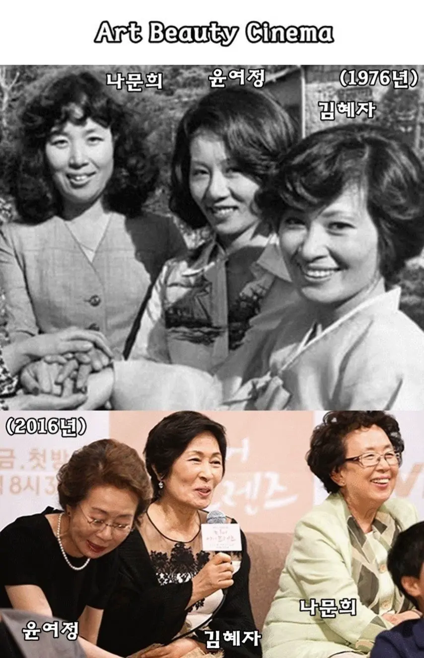 여배우들의 40년 전 후. | mbong.kr 엠봉