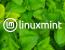 Linux Mint 소프트웨어 관리자는 이제 더 빠르게 로드되고 더 안전해졌습니다