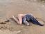 태국 바닷가 해안에 전라여성 시체.....