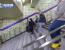 미국 고딩들이 한국 지하철역 7번출구 갔다가 깜짝 놀란 이유 ㄷㄷㄷㄷ..GIF