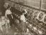 1951년 9월 9일 부산의 한 면사 공장.
