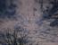 현시각 인천 소래포구 상공에 나타난 의문의 발광체