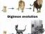 포켓몬과 디지몬의 진화 차이를 알아보자