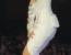 트와이스 쯔위 화이트 앞트임 드레스 콘서트 의상