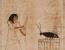 이집트 벽화에 기록된 바퀴벌레