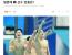 중국 수영이 잘해서 스트레스 받나요? 중국 기레기 한국 선수들한테 질문수준ㅋㅋㅋㅋㅋ.jpg