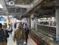 혐) 일본 지하철 투신자살 사건....mp4