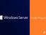 Windows Server Preview Build 26080은 피드백 허브 앱 문제를 해결합니다