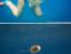 물고기 삼킨 해파리.jpg